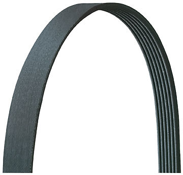 Keilriemen 4K 903 (Elastic) Ducato