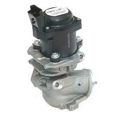 EGR Valve