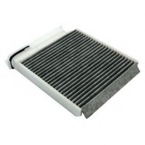 Filtro antipolline Clio III / Modus / Twingo / Wind