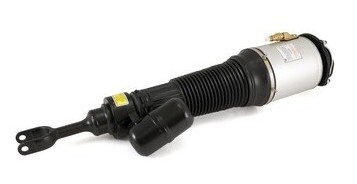 Federbein vorne rechts