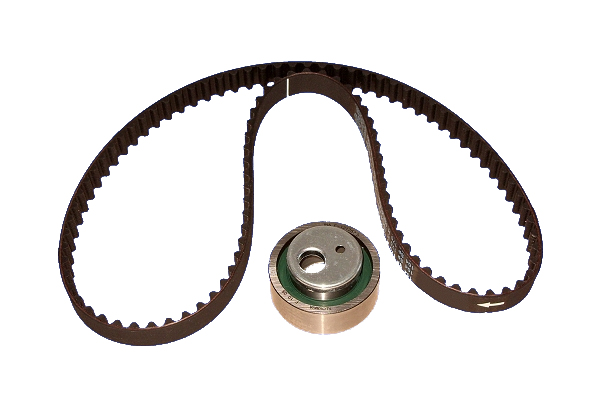 PSA (1.0i/1.1i TU1M/TU1JP/TU9/TU9M) distributieriemset