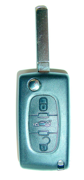 Telecommando inclusivo circuito elettrico 3 tasti con portellone, supporto della batteria sul guiscio